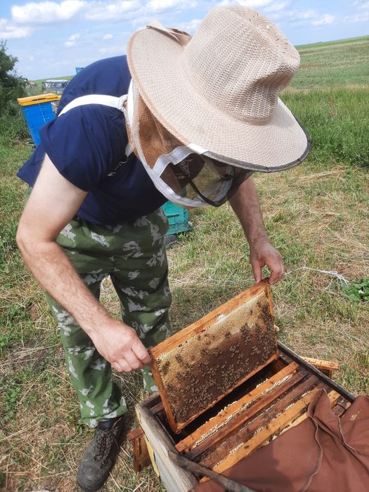 Продам мёд со своей пасеки