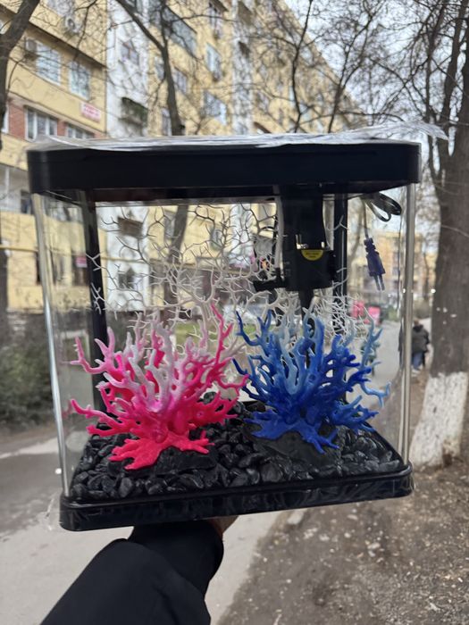 Akvarium kamplektida filtr kislarod va lampalari boladi