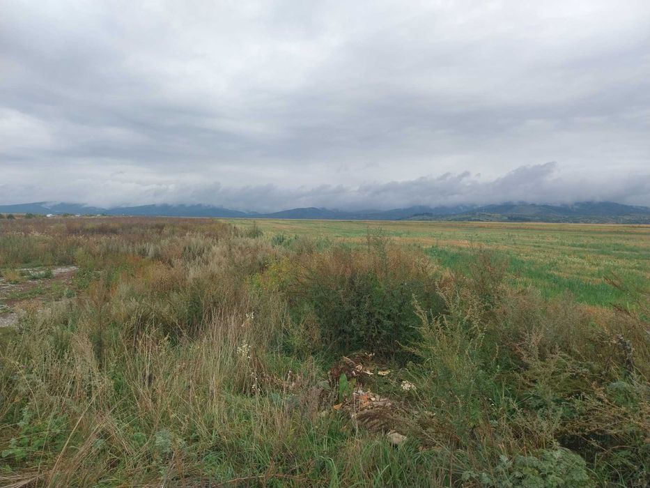 Teren intravilan si extravilan, 33100 mp, Tarlungeni, 200000 euro