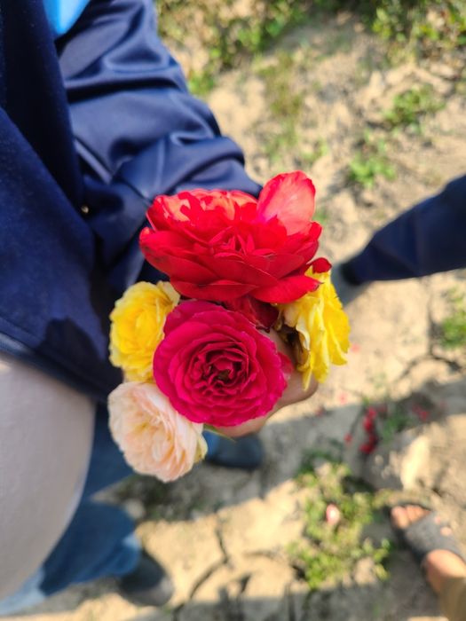 Атргул оптом гарантия