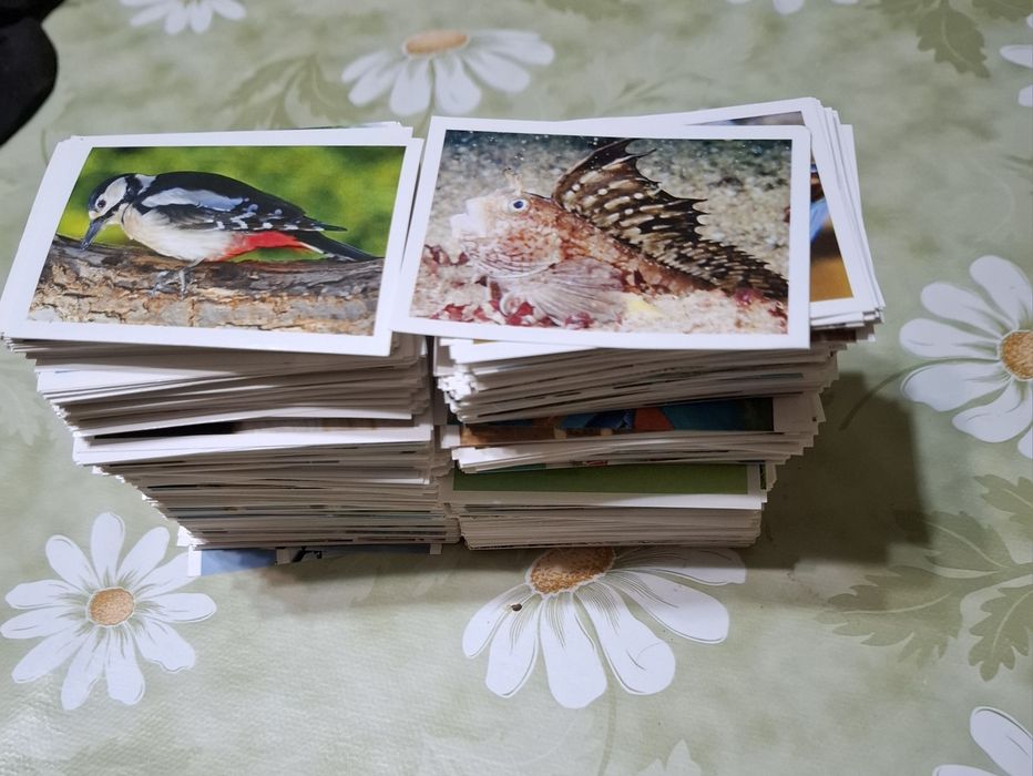 Конструктор, Фигури Tron Legacy и Hero 108