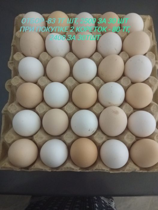 Продам яйца куриные домашние