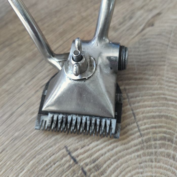 Интересничка интересничка