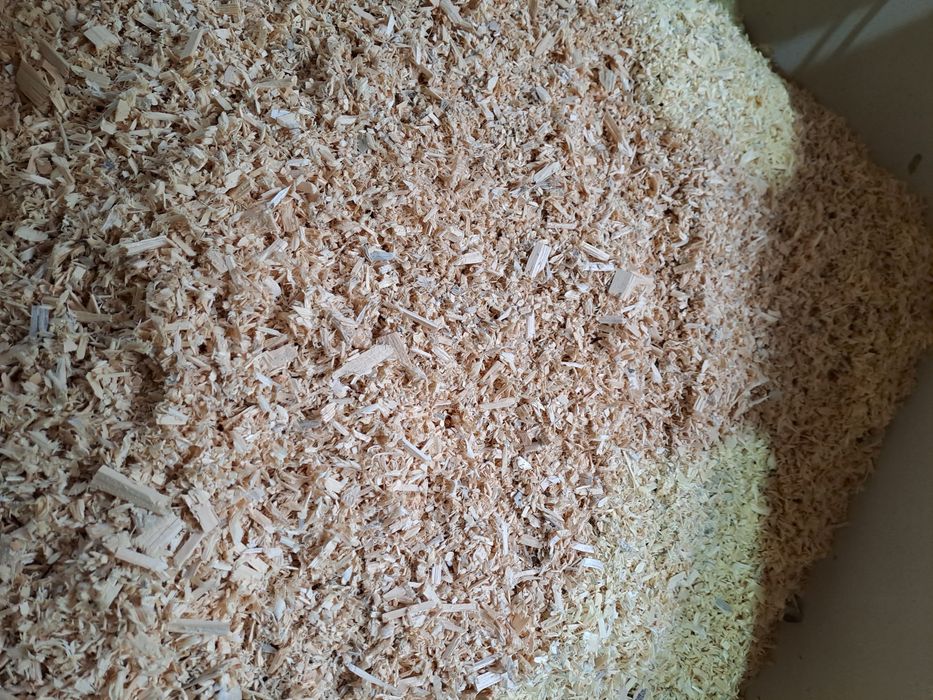 Апилка Бесплатно