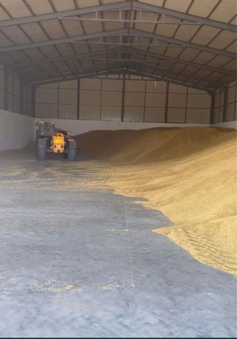 Hala metalica pentru cereala structrura metalica