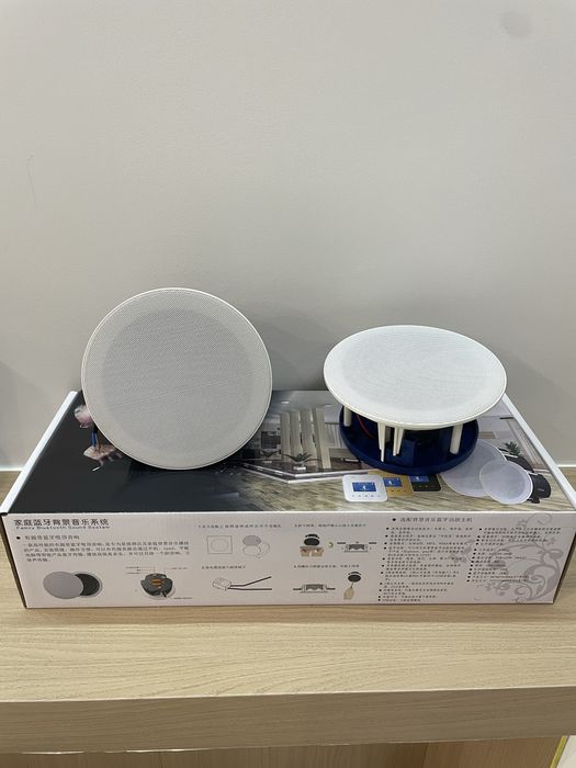 Потолочные Bluetooth-колонки – ваш дом зазвучит стильно и современно