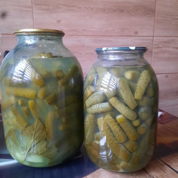 Соленые огурцы домашние