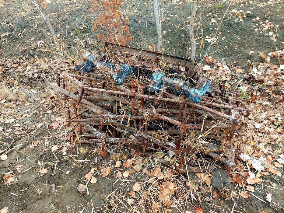 Barana 6 ta  Барана 6та (ишга тайёр) 9милион.