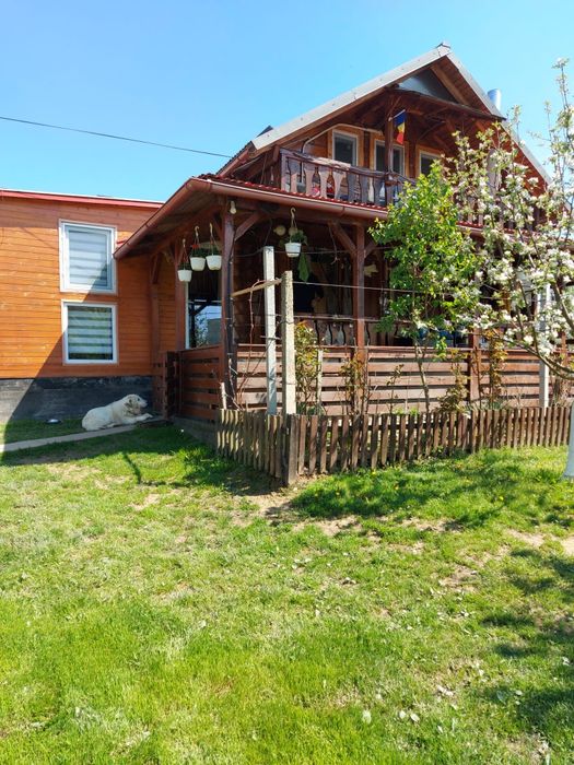 Casa de vanzare Cicarlau vii, Maramures