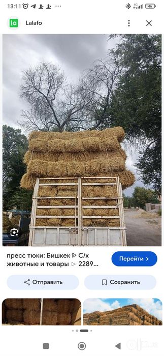 Сомон прес даставка