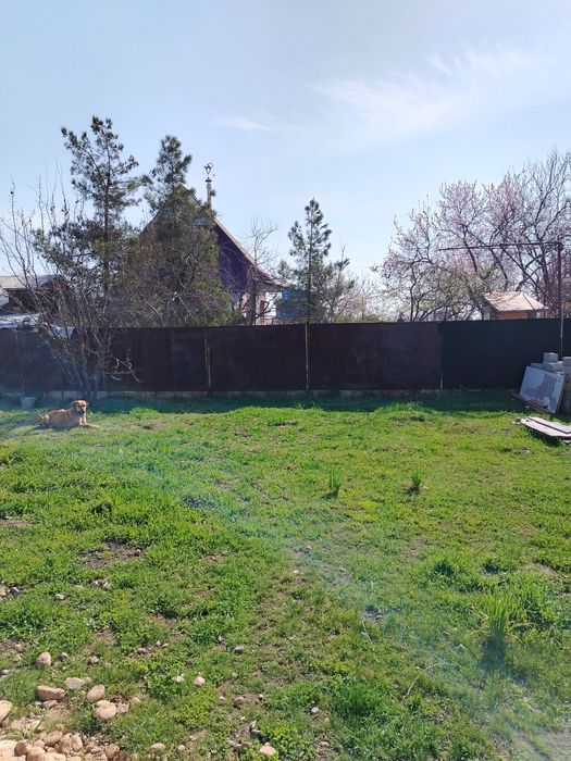 Продаётся дача, Тойтепа