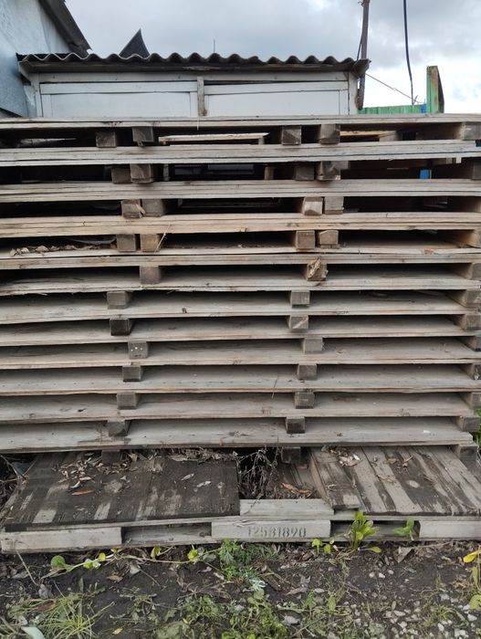 Продам поддоны цена 3000