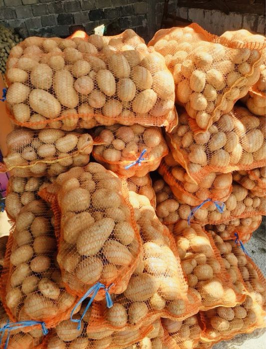 Cartofi Albi Mari (Pentru Consum)