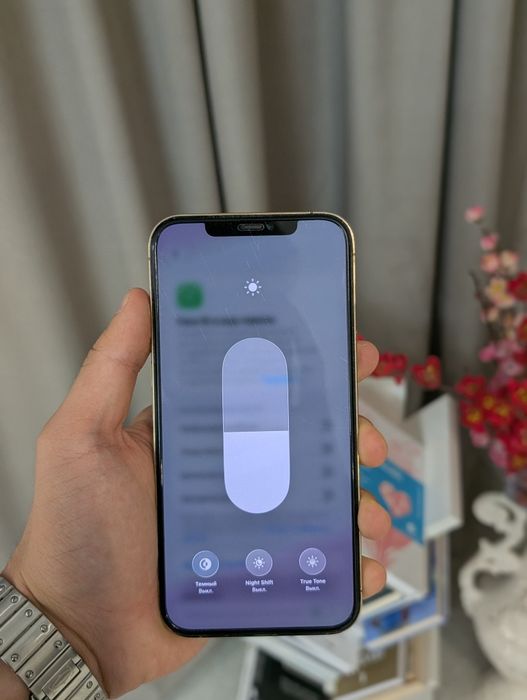 iphone 12 Pro Max без торга