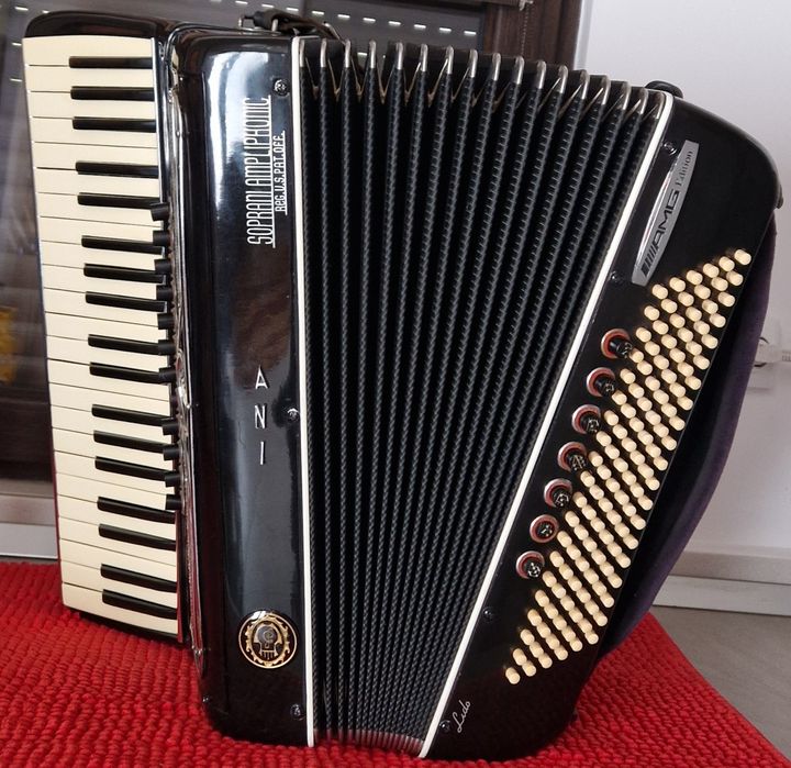 Acordeon 120 basi ,