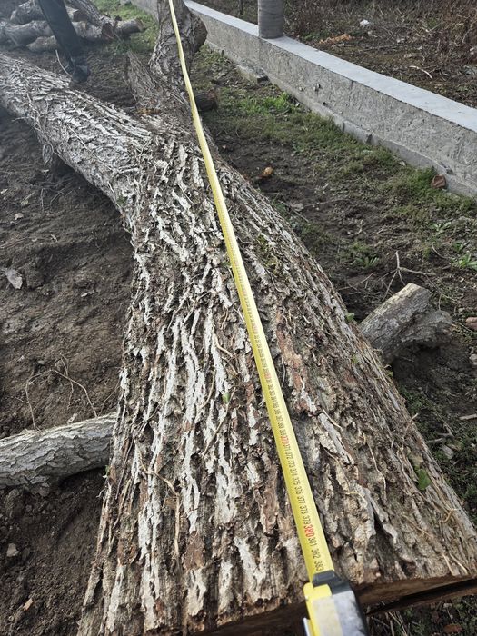 Дървен матерял,орех