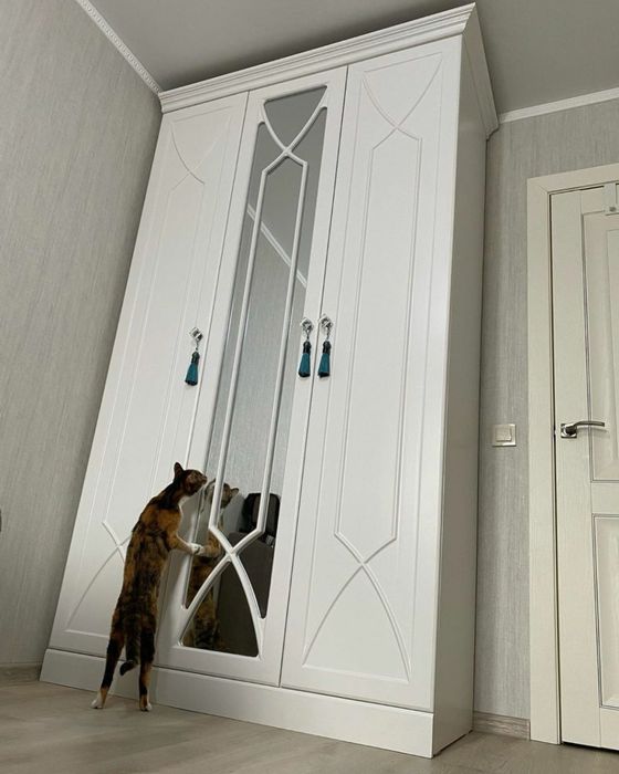 Sifatli mebel yasab berish hizmati