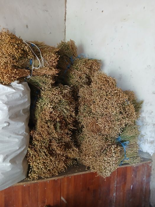 Продаётся гармала