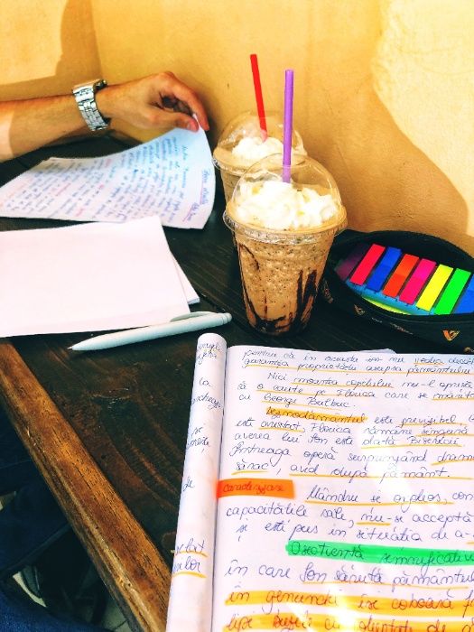 Meditatii Logica si Romana Online/Magurele