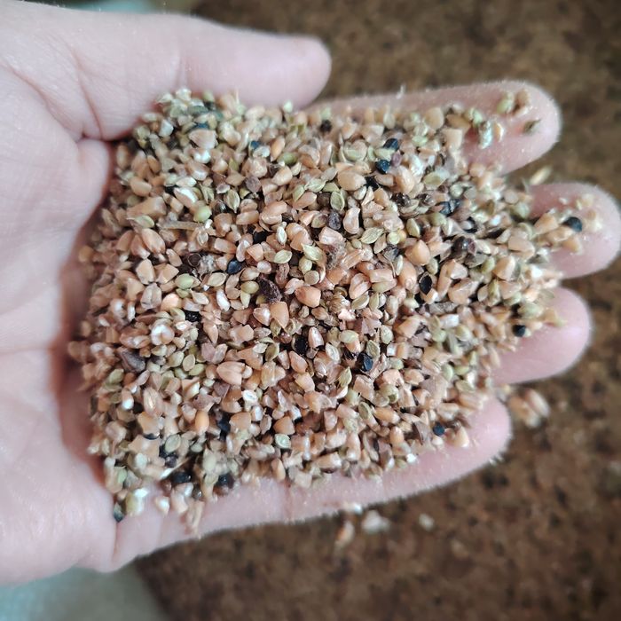 Продам корм зерно отходы, сечку, отруби