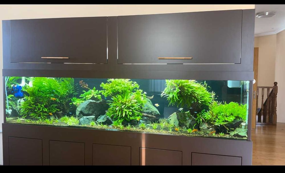 Продам Аквариум на 1000л с мебелью.