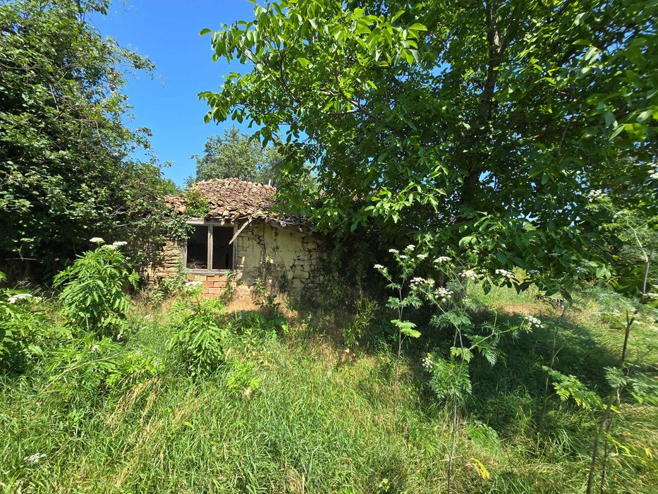 Парцел в село Церова кория