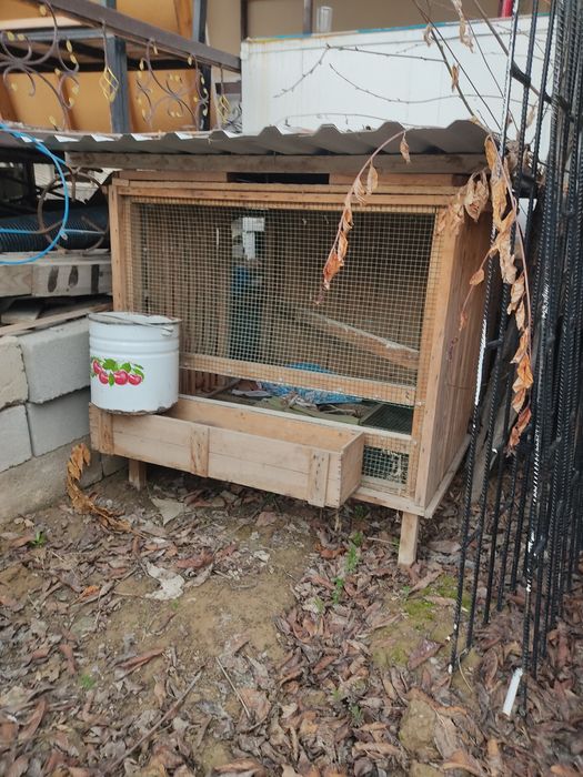 Товук ва хархил парандалар учун катак куй боксаям булади