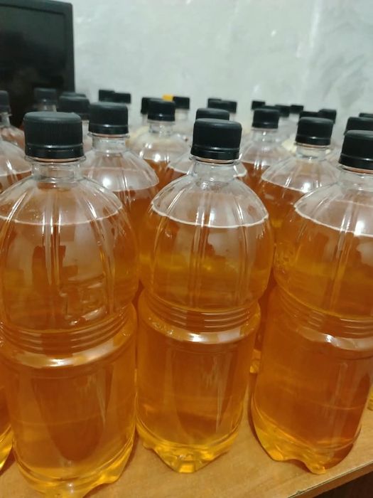 Продам мёд катонский