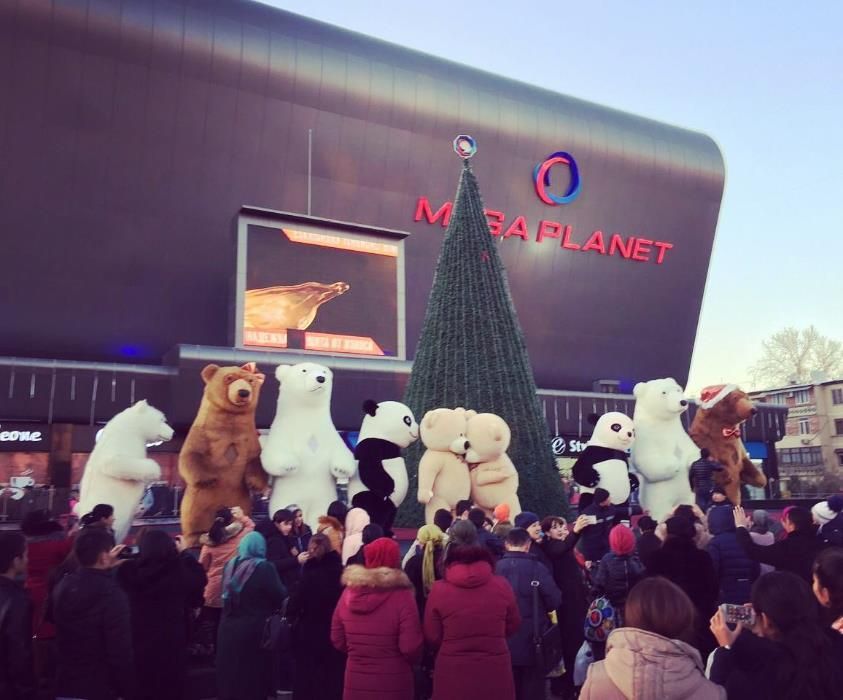 Madagascar - katta ayiq va pandalar