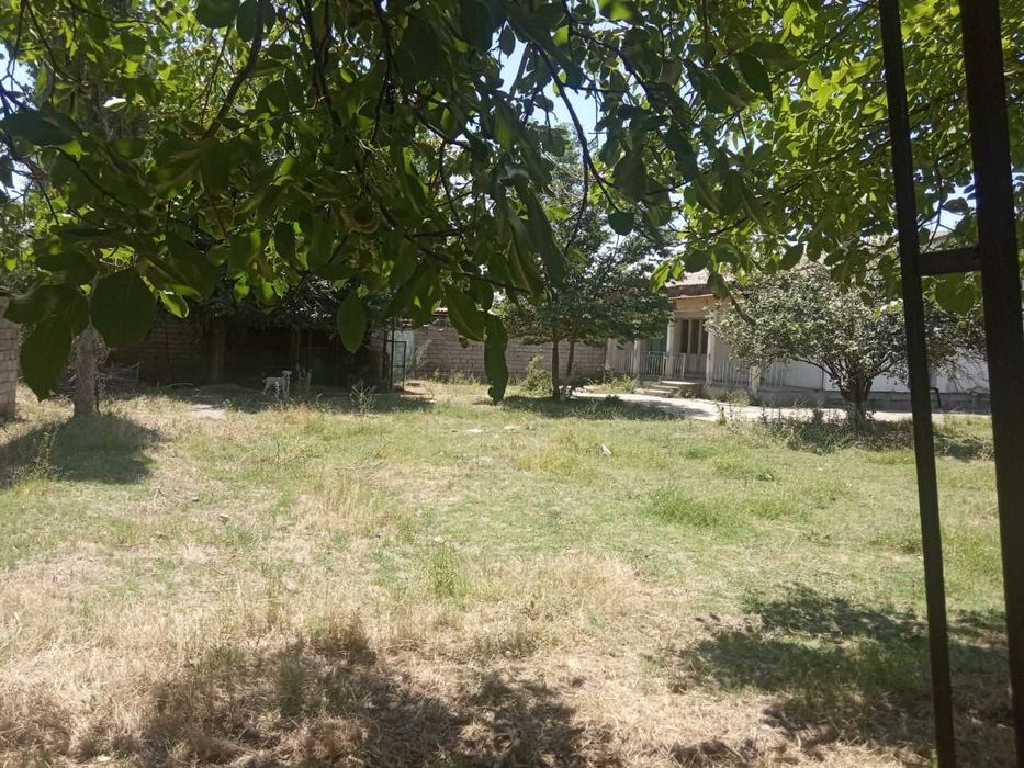 Ким Пен Хва участка ИЖОРАГА