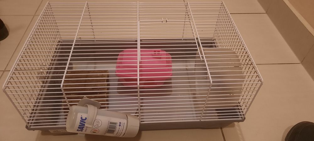 Vand cusca pentru hamsteri Savic
