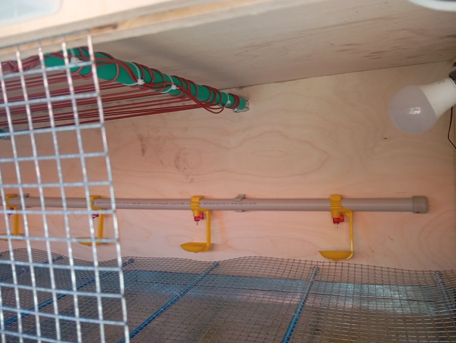 Брудер клетка для переплов