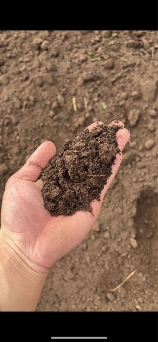 Чернозем перегной