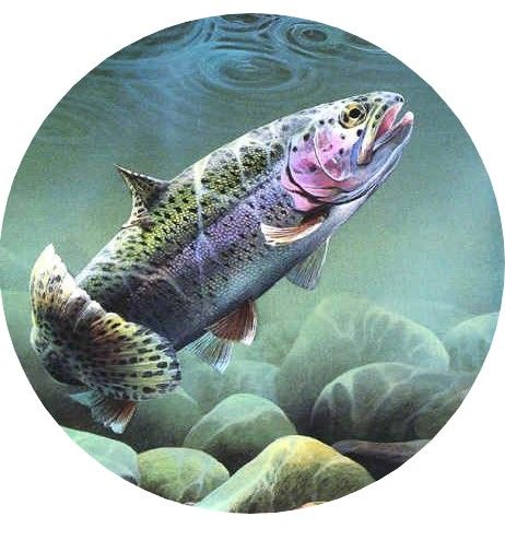 Калъф За Резервна Гума На Джип С Риба Риби