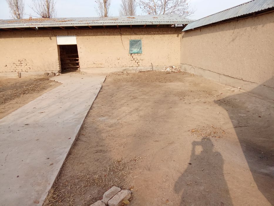 Xovli sotiladi. Yer narxida.