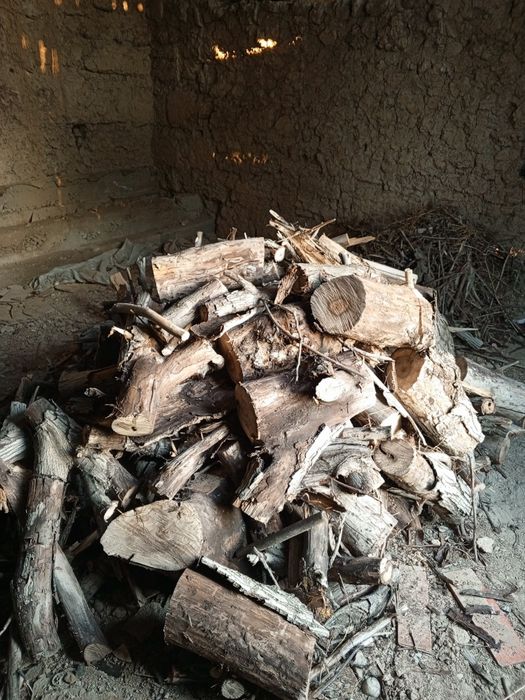 Дрова сухое орех