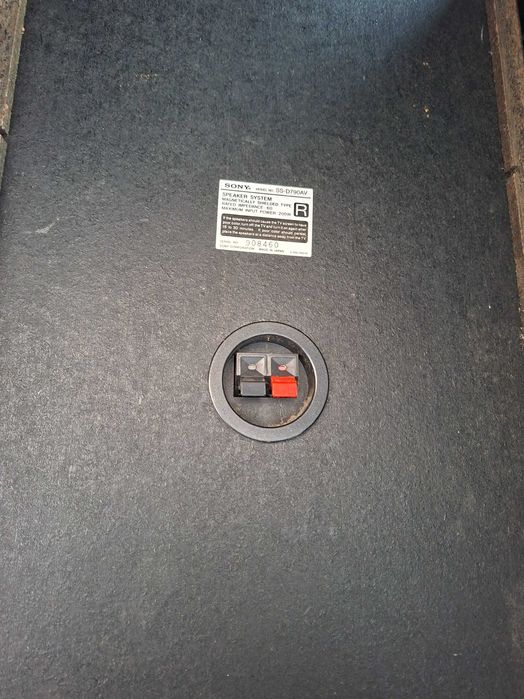 Тонколони сони оргинални