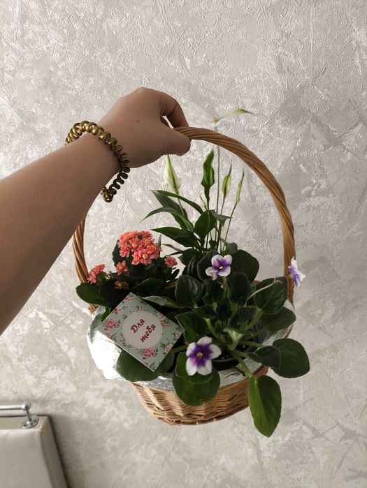 Подарки цветы живые