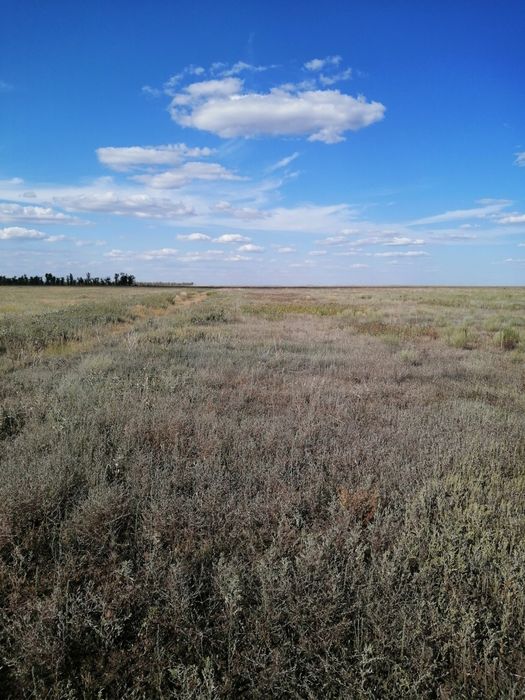 Сдам  землю под пашню