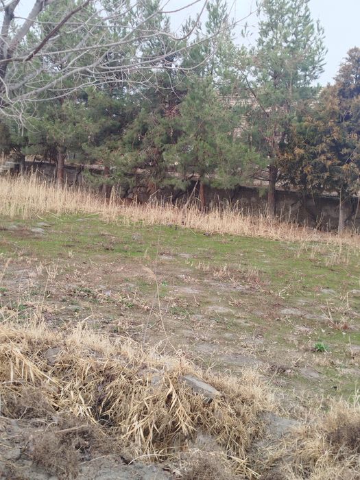 Гишт заводи сотилади