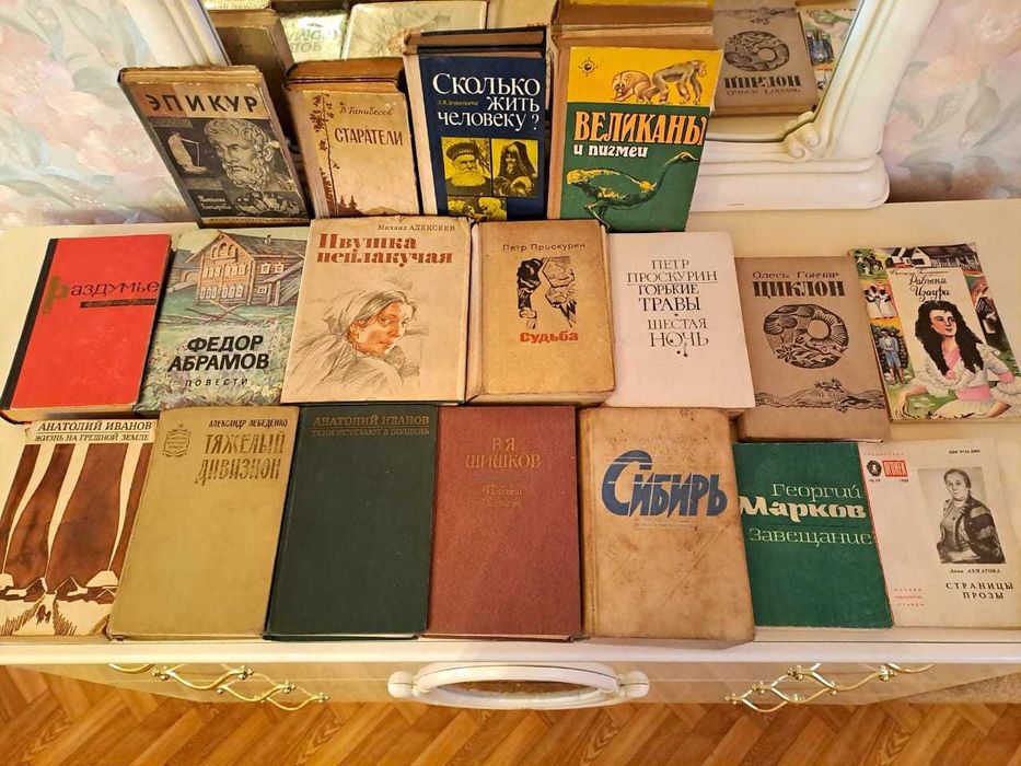 Художественная  литература