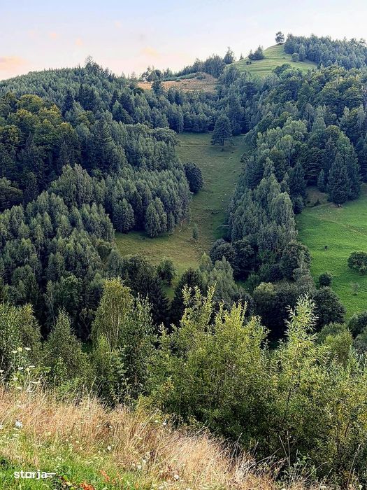 Teren investitie 8635 mp extravilan , Pestera Brasov