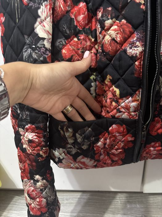 Jacheta matlasata Mango