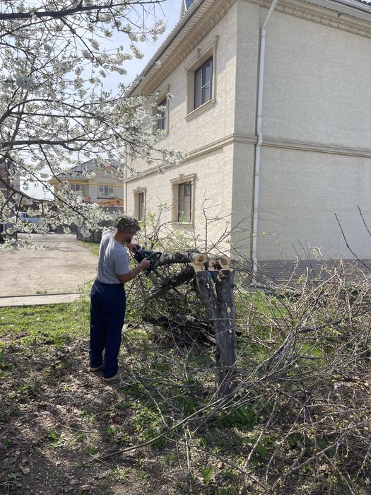 Разнорабочие, копка, спил деревьев, грузчики