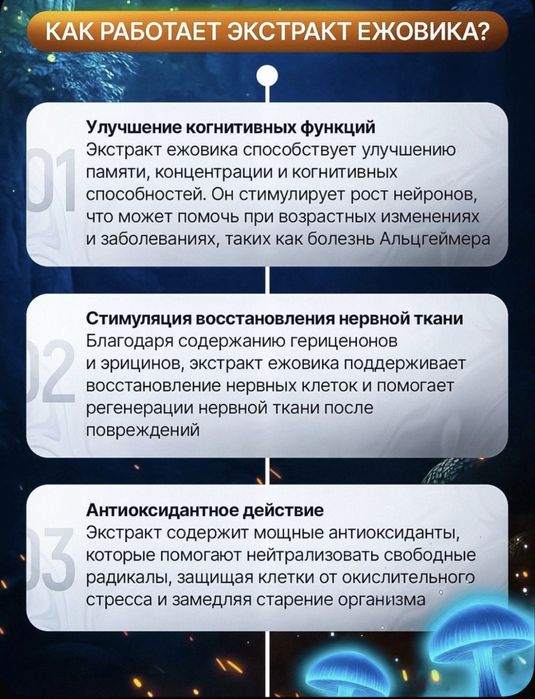 Ежовик гребенчатый жидкий экстракт