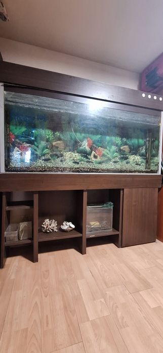 Продавам Аквариум