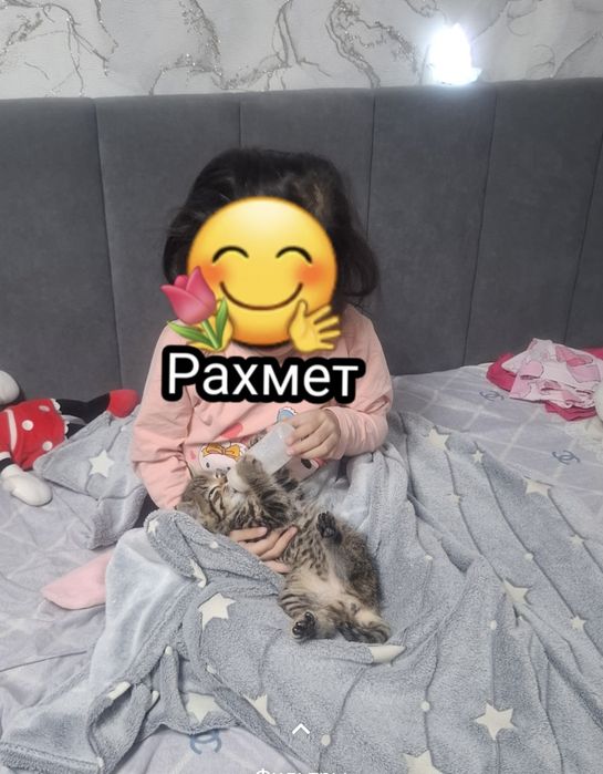 Добрые руки бесплатно
