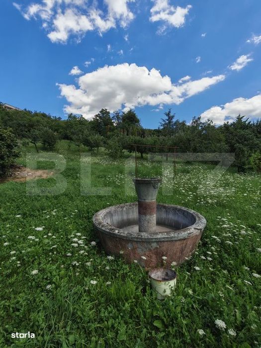Casa de vazare, 175 mp, teren 6200 mp, exclusiviate, zona Centrala Tur