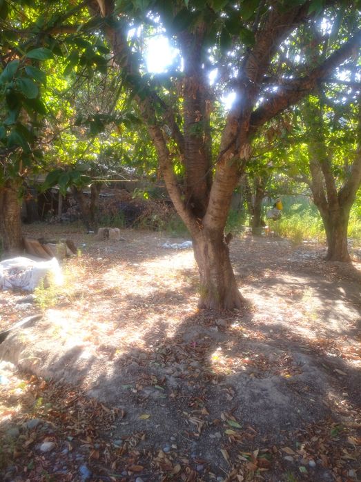 Участка сотилади назарбек рамадан махалла