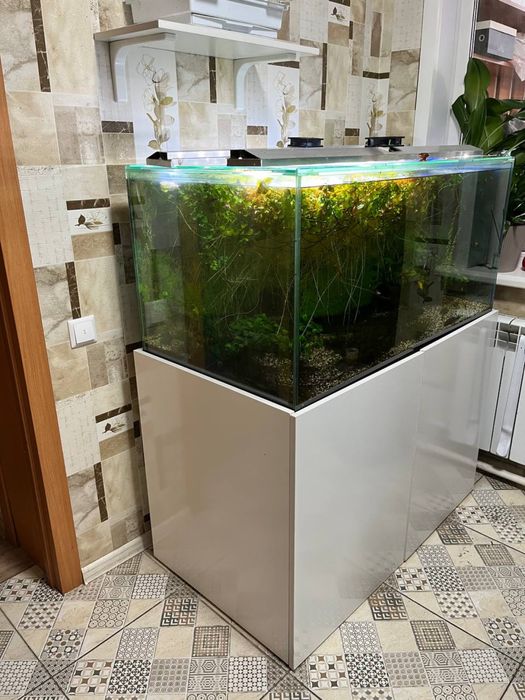 Аквариум с рыбками